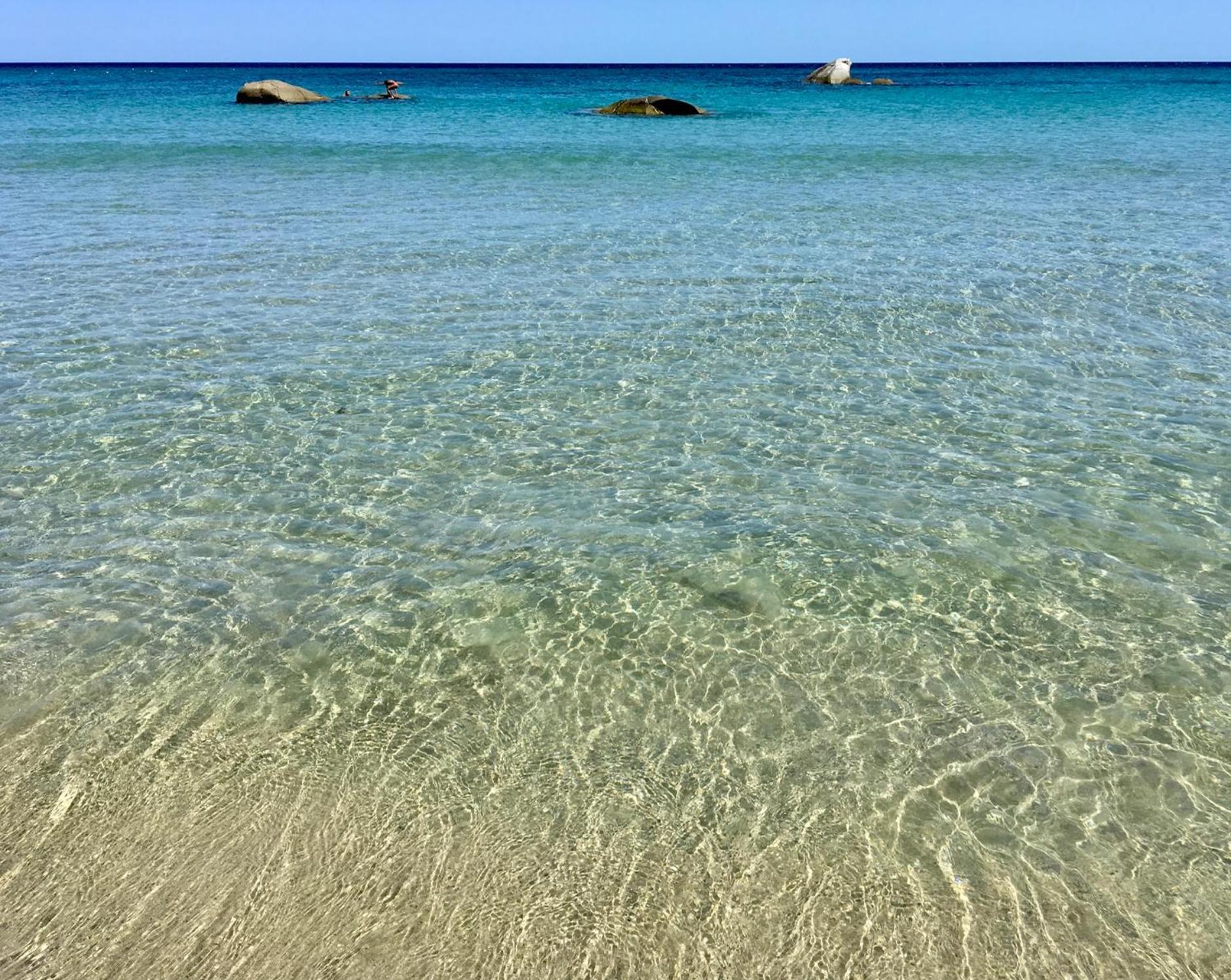 Il Giglio *